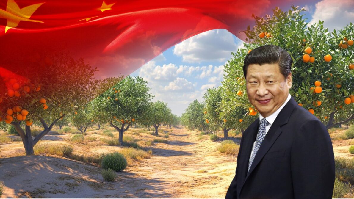 “china”, “deserto”, “agricultura”, “tecnologia”, “investimento”