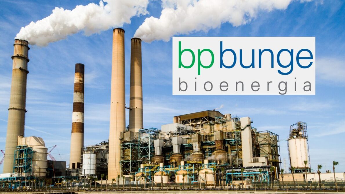 BP Bunge surpreende e anuncia investimento de mais de 500 MILHÕES na expansão de usina de cana-de-açúcar; expectativa é de geração de novos empregos. Foto: Imagem meramente ilustrativa (Canva).