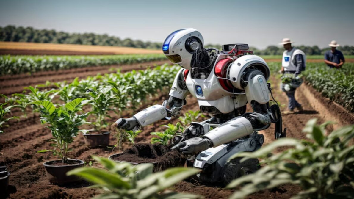 energia solar - robôs - agricultura - placa solar - agrícola - agro - produção - brasil