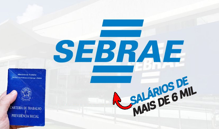 Trabalhe no Sebrae e ganhe mais de R$ mil! Instituição anuncia abertura de mais de 40 vagas de emprego em áreas como marketing, tecnologia, administração, RH e outras