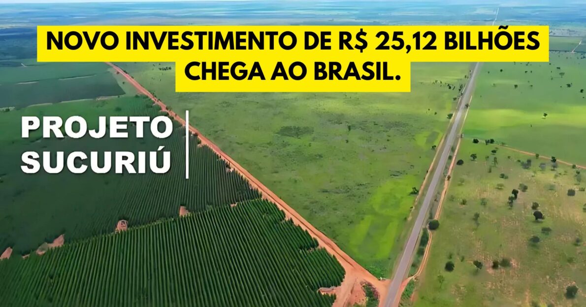 Brasil ganha nova fábrica de celulose! Mega Investimento de R$ 25,12 bilhões da chilena Arauco promete gerar milhares de empregos e