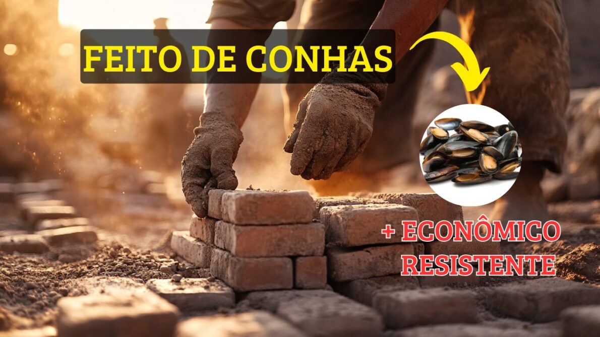 “tijolo ecológico”, “tijolo de conchas”, “construção civil”