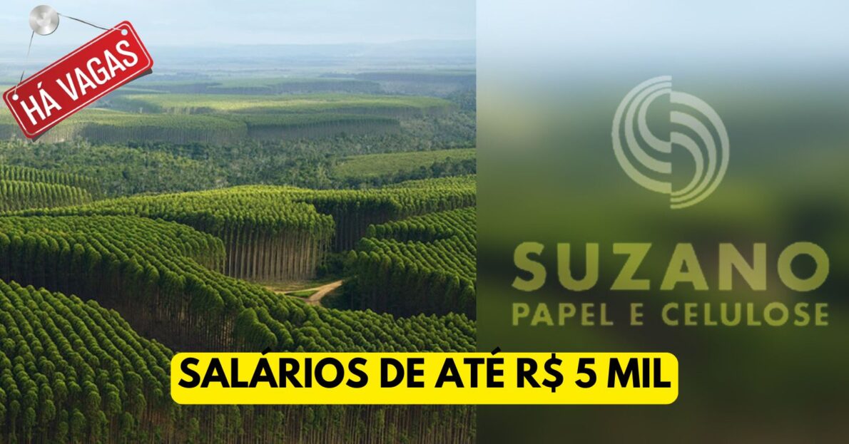 Suzano Papel e Celulose está recebendo currículos de pessoas com ensino médio, técnico e sem experiência para preencher quase 100 vagas de emprego!