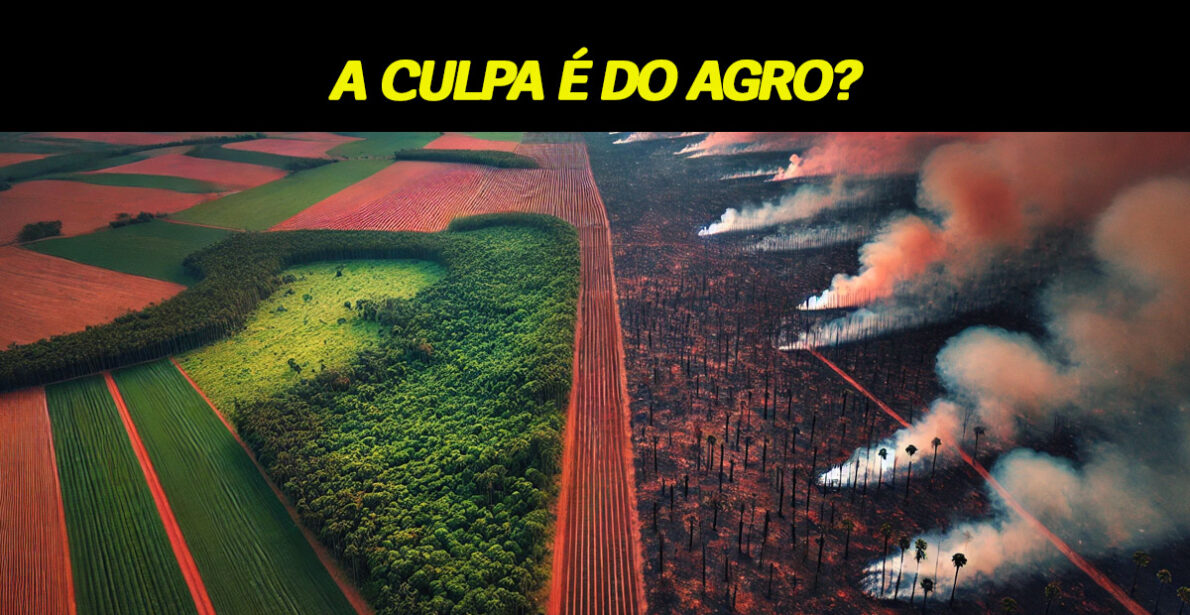 Grande culpado? Economista dispara que Brasil precisa romper com o agro para combater as queimadas! 'O agronegócio nos deve, e não o contrário"