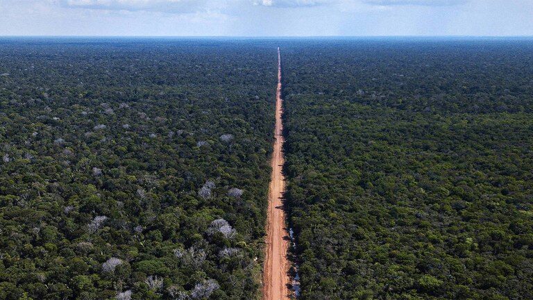 Pavimentação da BR-319 ameaça Amazônia e clima do Brasil. Pesquisadores alertam para desmatamento, perda de chuvas e impacto em comunidades indígenas. (Foto: Divulgação/ DNIT)