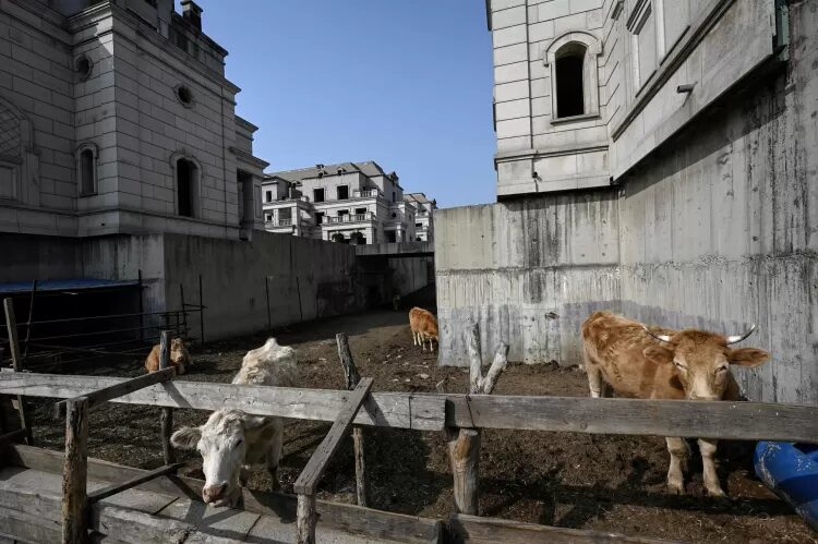 O mistério das mansões milionárias abandonadas na China. (Imagem: JADE GAO/AFP)