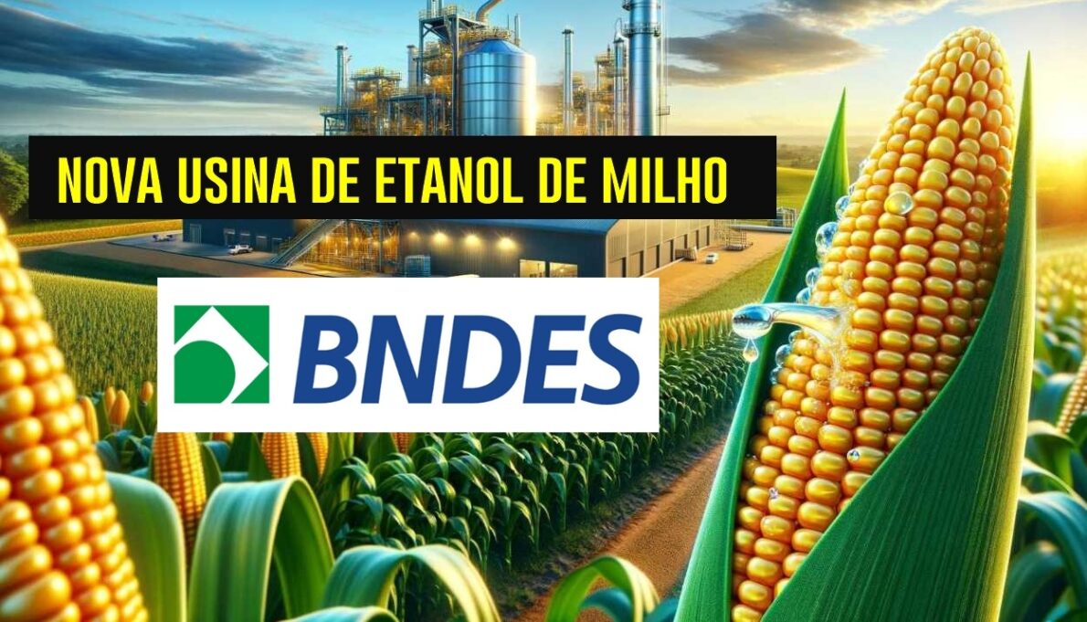 BNDES, etanol de milho