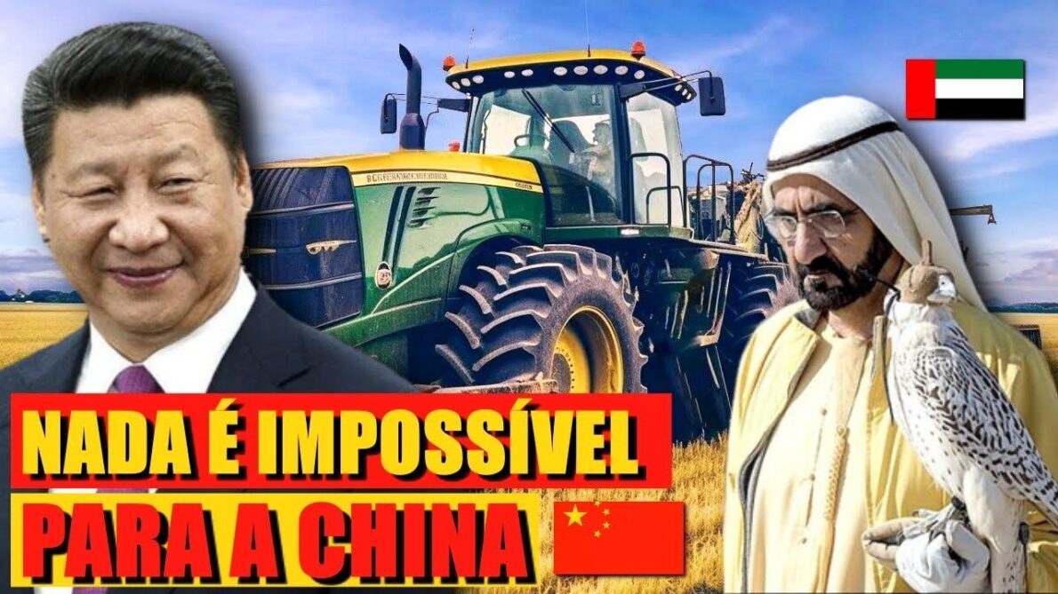 China planta 8.200 hectares de arroz no deserto e surpreende cientistas de Dubai com inovação na agricultura