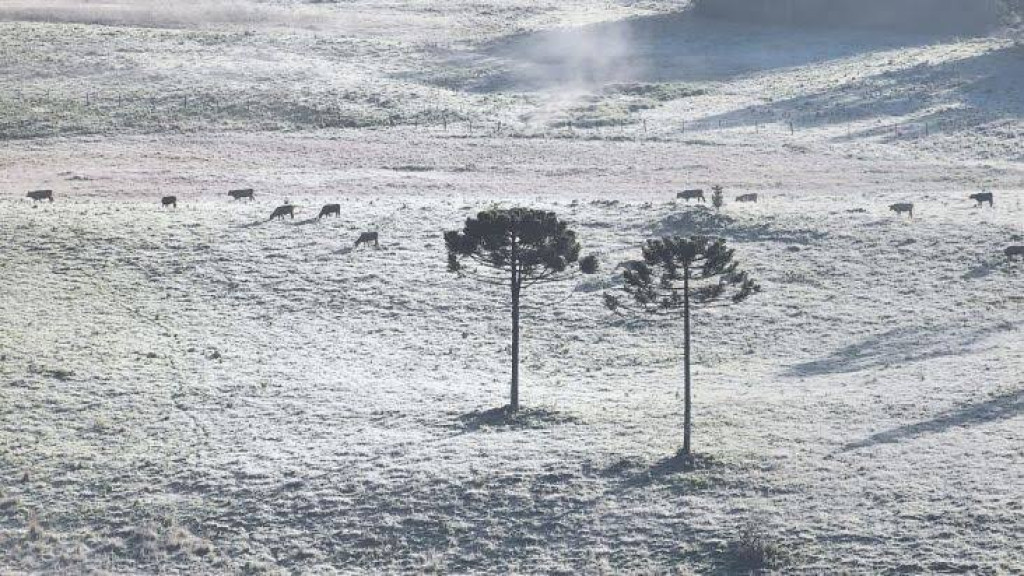 Como Santa Catarina se tornou um dos melhores estados do país: o Brasil que deu certo