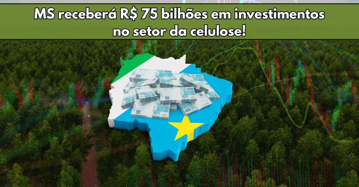 Mato Grosso do Sul receberá R$ 75 bilhões em investimentos no setor da celulose