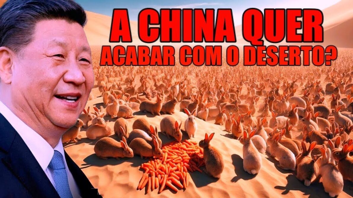 Não vai acreditar no que a China fez! Em uma iniciativa surpreendente, o país liberou mais de 1 milhão de coelhos no deserto da China, especificamente no deserto de Dalat Banner