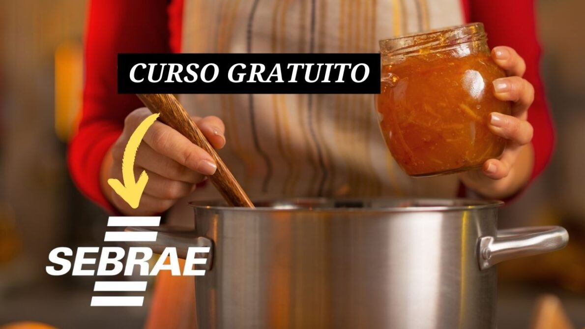 SEBRAE e Fundo Social oferecem curso gratuito para capacitar novos empreendedores; Veja como se inscrever!