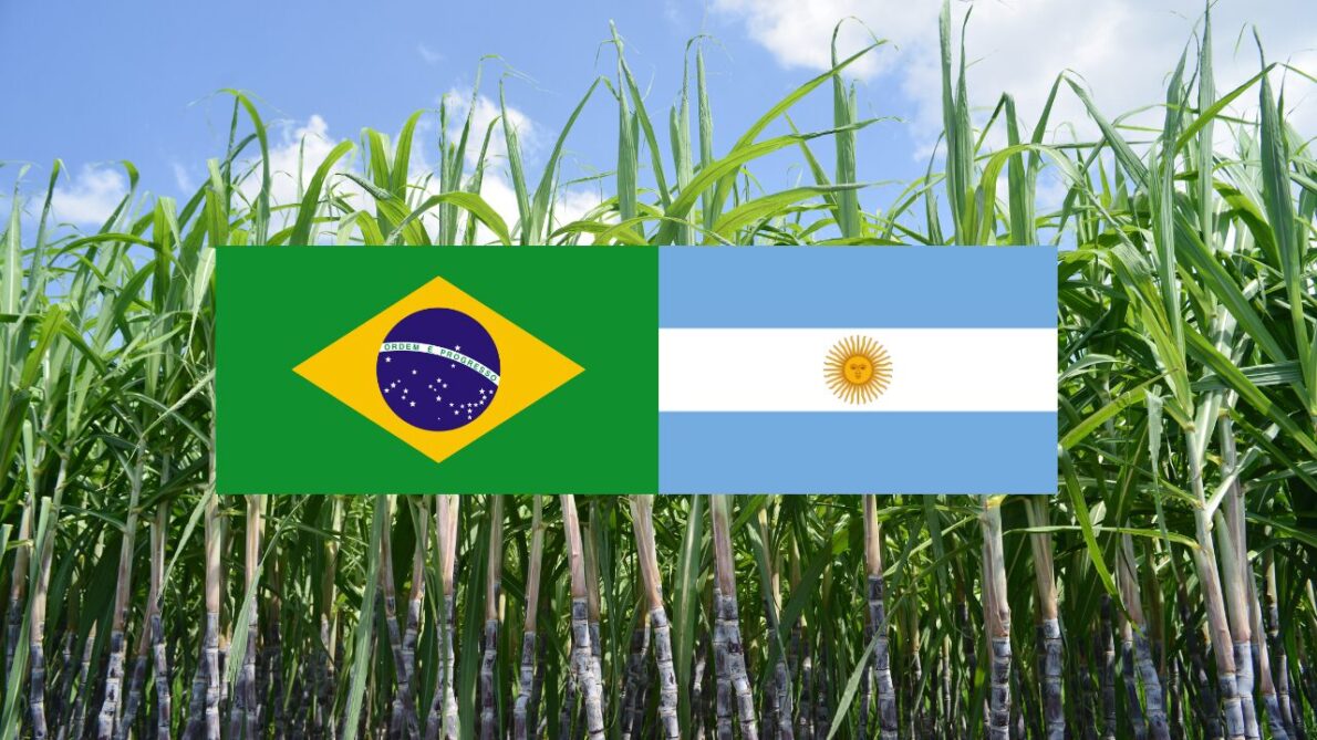 A indústria da Argentina almeja eficiência do Brasil para diversificar a produção na usina de cana e impulsionar a economia local.