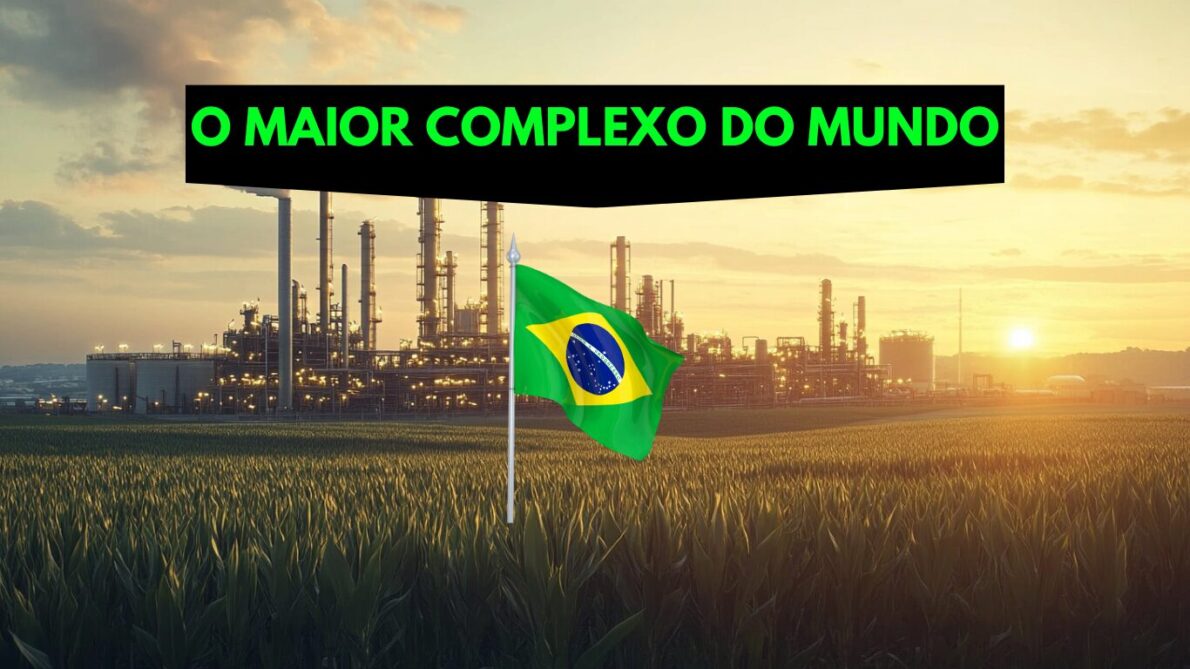 “biodiesel”, “soja”, “combustível”, “investimento”