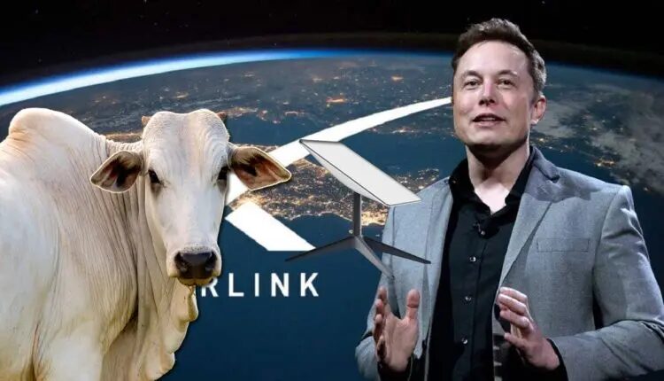 Starlink de Elon Musk chega ao Brasil com desconto de até 60% para produtores rurais! Conheça essa inovação que promete revolucionar o agro.