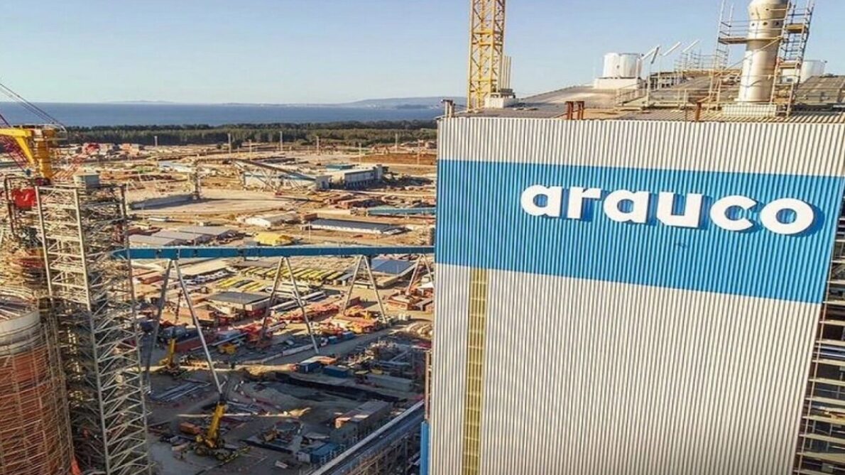 A multinacional do Chile Arauco fará um investimento de R$ 61,9 bilhões no setor de celulose no Brasil, prometendo empregos e um forte crescimento na indústria.