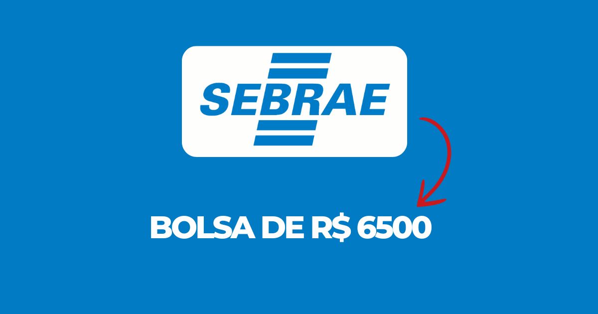 Sebrae-SP oferece bolsas de até R$ 6.500 para profissionais atuarem com inovação no campo. Inscrições até 24/01/2025. Saiba mais!