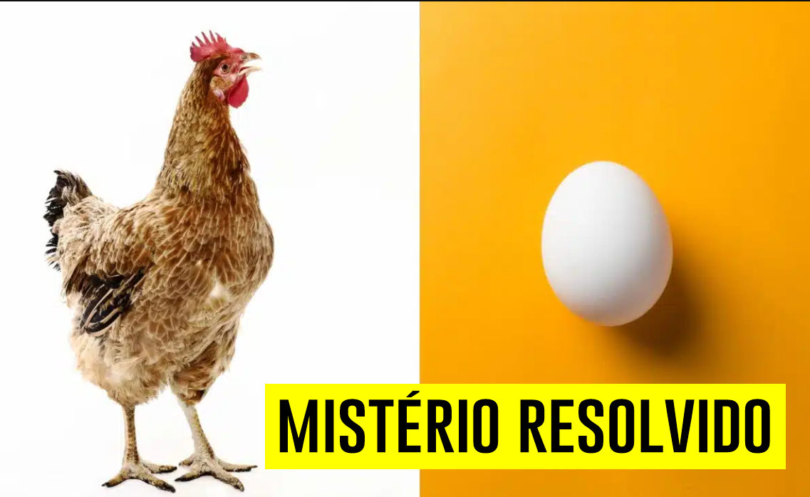 Ovo ou a galinha? Cientistas podem ter desvendado o mistério sobre o que veio primeiro por meio de um micróbio com mais de 1 bilhão de anos