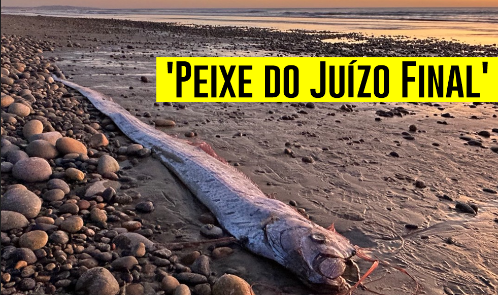 Peixe do Juízo Final