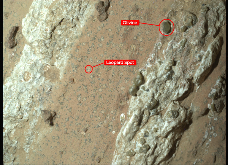 NASA revela descoberta bombástica: evidências de vida passada em Marte podem mudar tudo o que sabemos