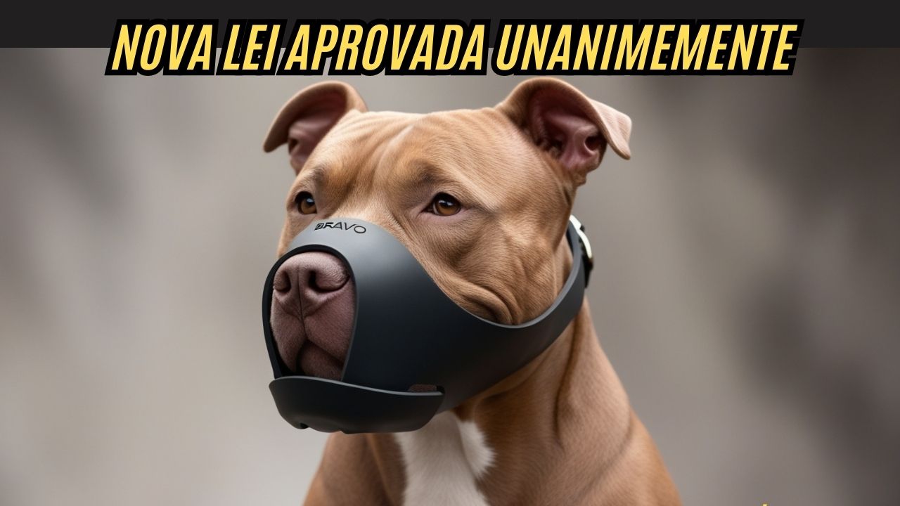 Nova lei no Brasil muda tudo: criação e circulação de pitbulls agora têm regras rígidas para evitar multas!