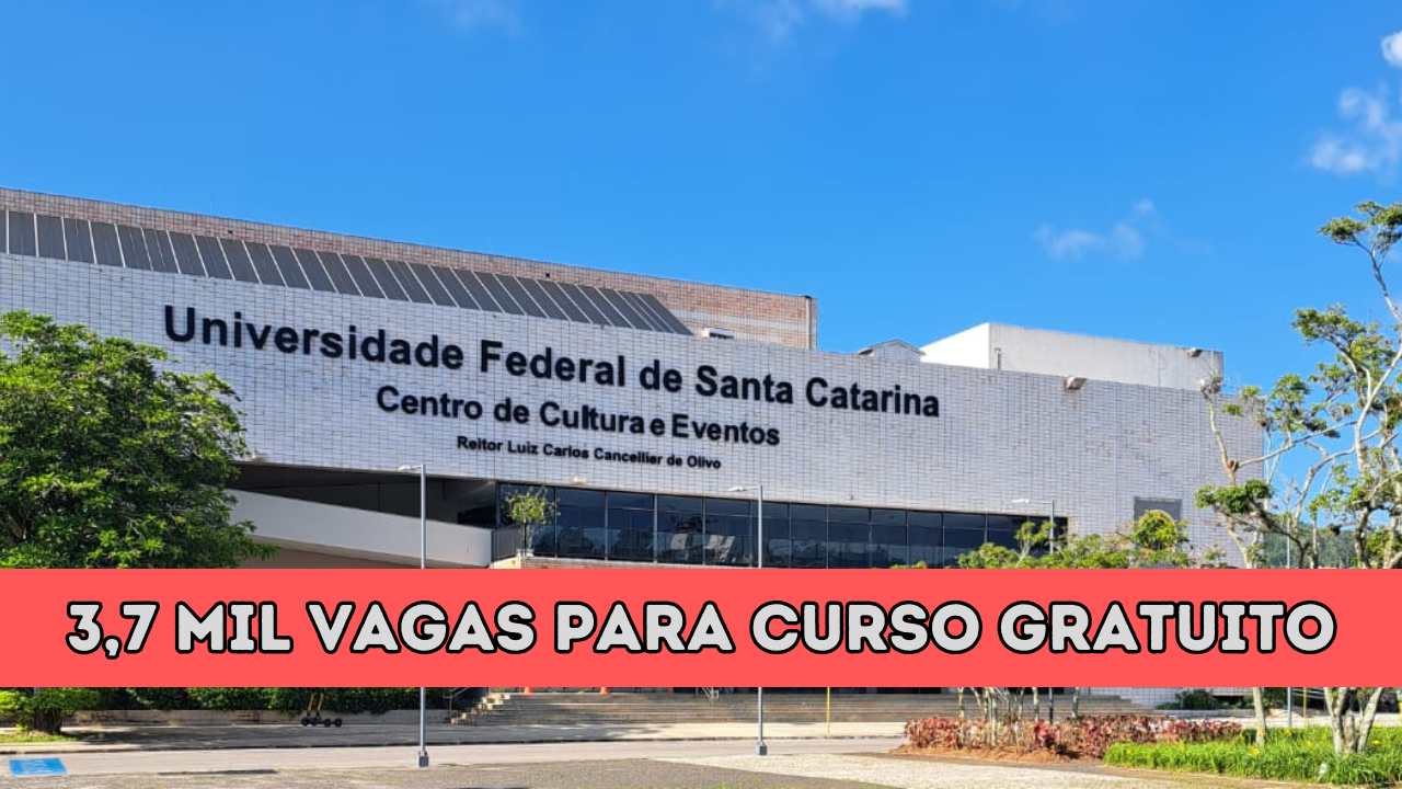 curso online - cursos gratuito - EAD - edital - vagas - professores - quilombola - Universidade Federal