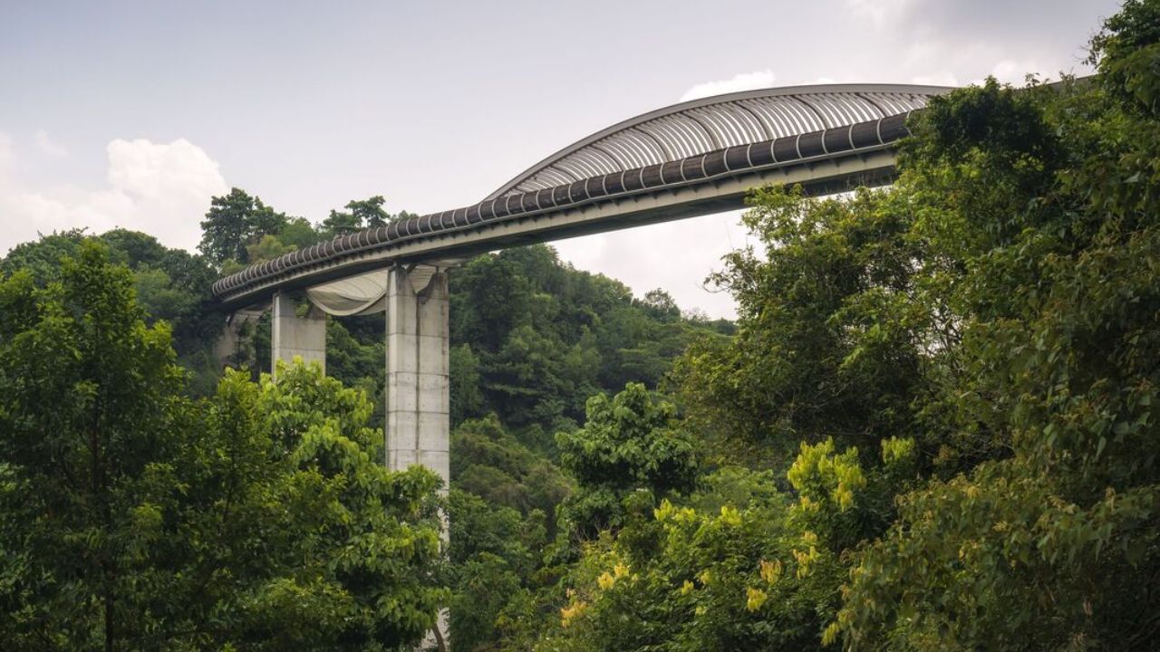 A incrível ponte que parece 'uma onda' no meio de uma cidade enorme