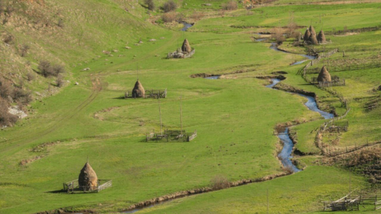 Avanço arqueológico: cientistas encontram os 'vestígios humanos mais antigos' da Europa