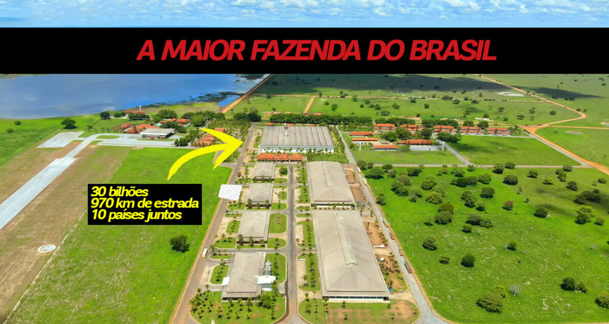 A Fazenda Nova Piratininga é uma das maiores do Brasil, com 135 mil hectares e infraestrutura de ponta. Conheça essa gigante da pecuária!