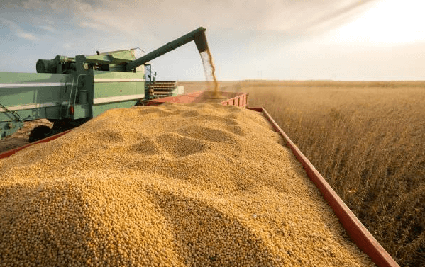 A exportação de soja é muito importante para o Brasil porque gera bilhões para a economia e sustenta o agronegócio. Muitos países, como a China, dependem da nossa produção para alimentar suas populações.