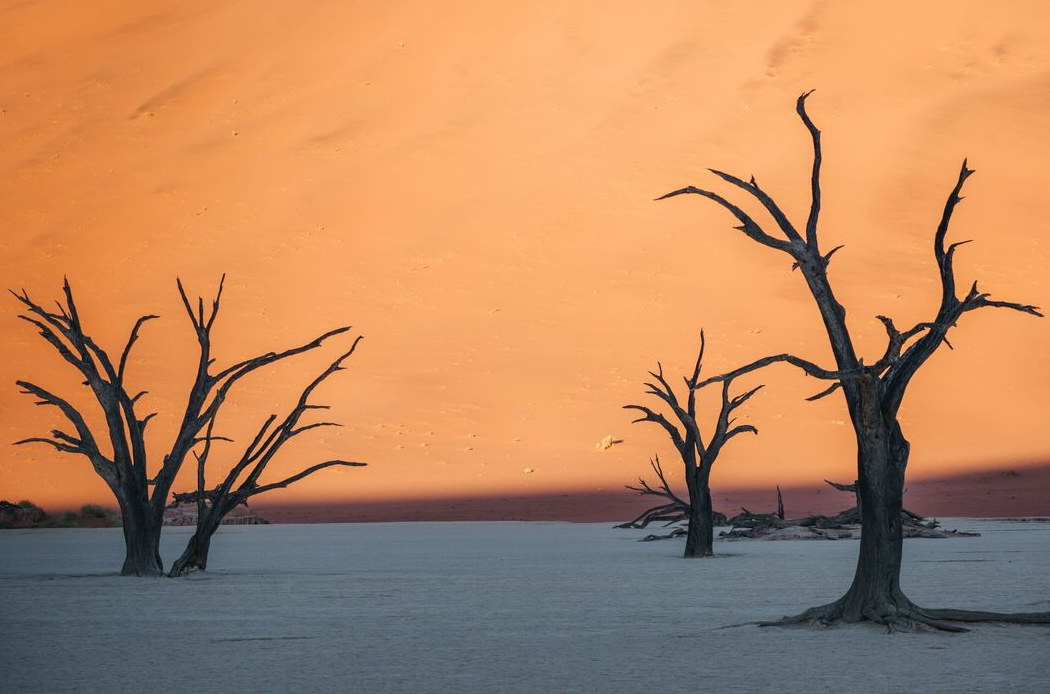 Já choveu no passado, há milhares de anos, quando o clima da região era mais úmido e o Dead Vlei era um pântano com vegetação. Com o tempo, mudanças climáticas desviaram os rios e deixaram o local completamente seco, tornando a chuva praticamente inexistente nos dias de hoje.