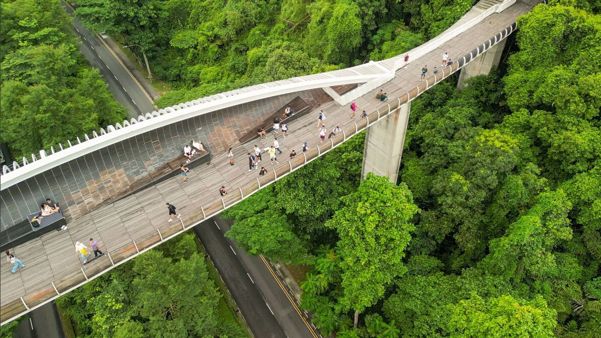 O design ondulado da ponte foi criado para oferecer áreas de descanso e sombra para os visitantes. Além disso, as curvas dão um toque moderno e transformam a estrutura em uma verdadeira obra de arte.