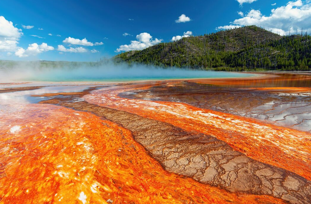 Yellowstone tem suas cores vibrantes por causa da atividade geotérmica e das bactérias termofílicas que vivem nas fontes termais. Esses microrganismos prosperam em diferentes temperaturas e produzem pigmentos que vão do amarelo ao laranja, criando aquele visual incrível. É como uma obra de arte natural feita pela química e pela vida!