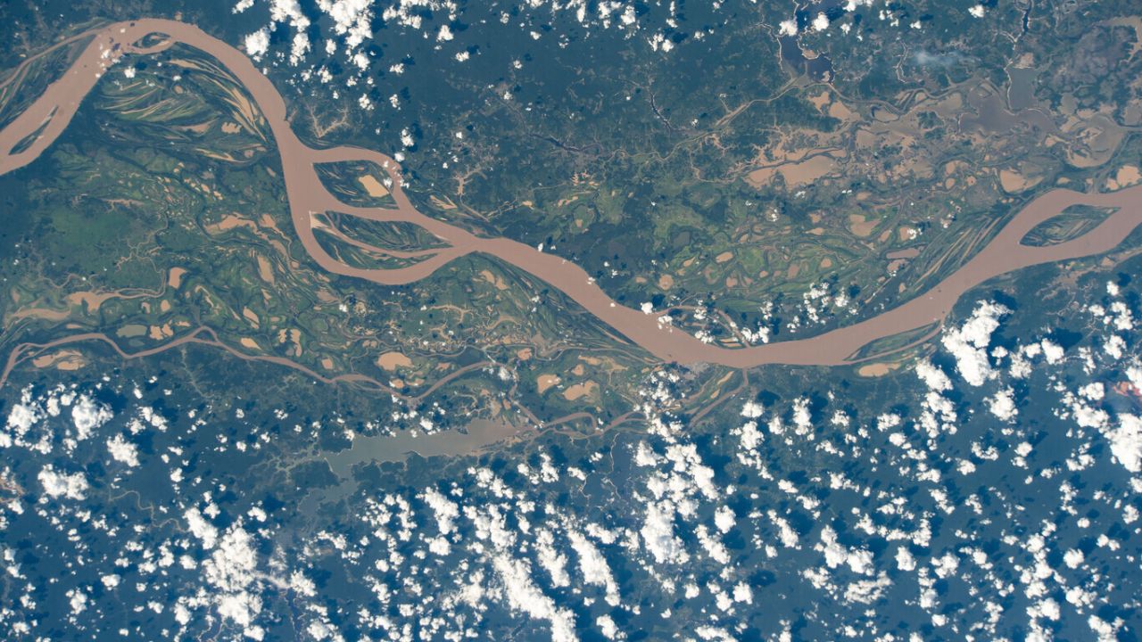 Microsoft gasta US$ 200 milhões para reflorestar a Amazônia e tentar compensar o impacto ambiental da IA!