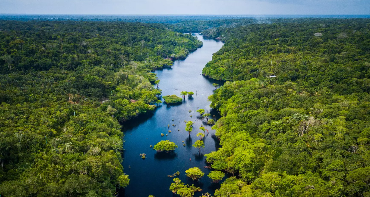A Amazônia é a maior floresta tropical do mundo, cheia de vida e mistérios. Além da natureza exuberante, esconde segredos antigos de civilizações que viveram ali há milhares de anos.