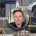 Elon Musk, Tesla