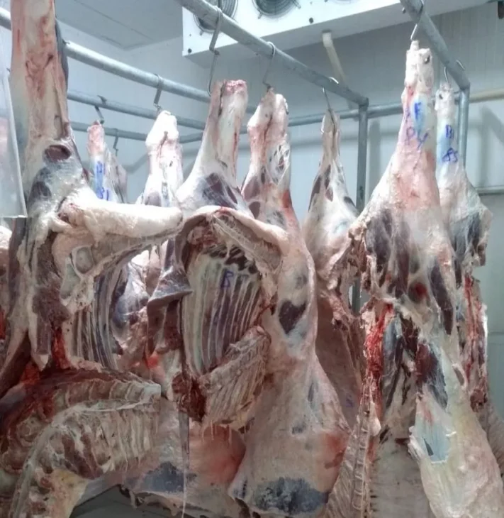 Como funciona a bilionária indústria de carne de búfalo na Índia