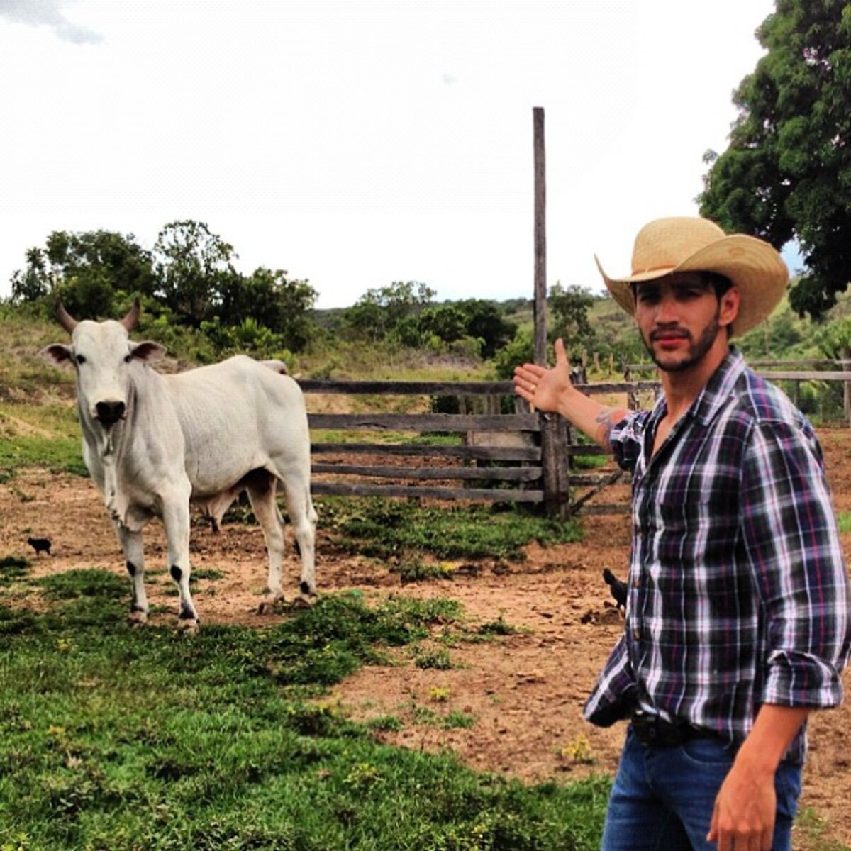 Agronegócio, Cantores, Sertanejo, Fazendas