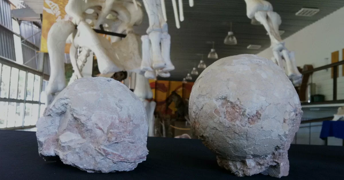 Uma cidade no Brasil onde ovos de dinossauro foram soterrados pelo tempo?