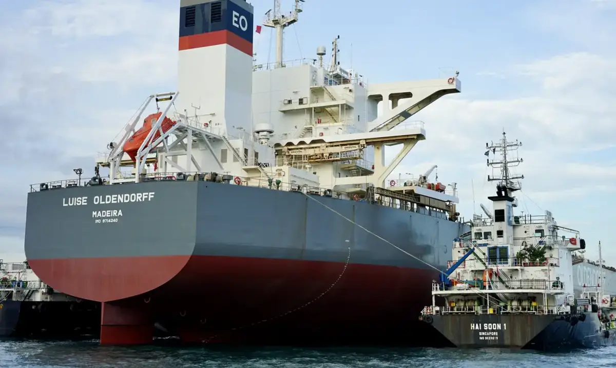 Petrobrás, Navios, fretes