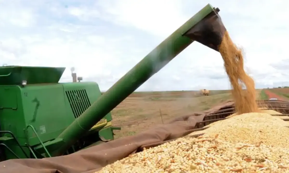 Guiana, produção, alimentos, Brasil