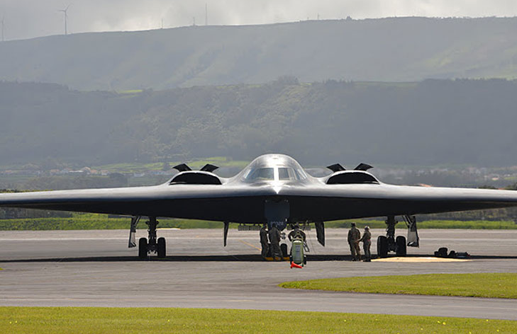 O design do bombardeiro B-2 Spirit, com sua forma de "asa voadora" e perfil aerodinâmico, foi notavelmente inspirado pela silhueta esguia e eficiente do falcão peregrino durante seu mergulho em alta velocidade. 