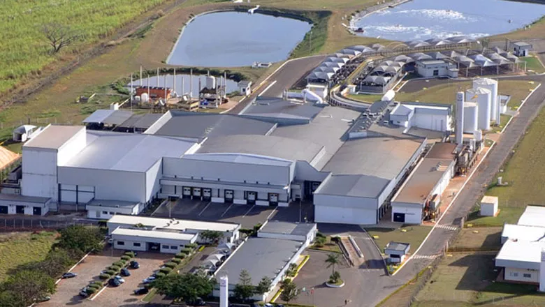 As maiores empresas do agro por trás de quase tudo que o Brasil planta e consome 