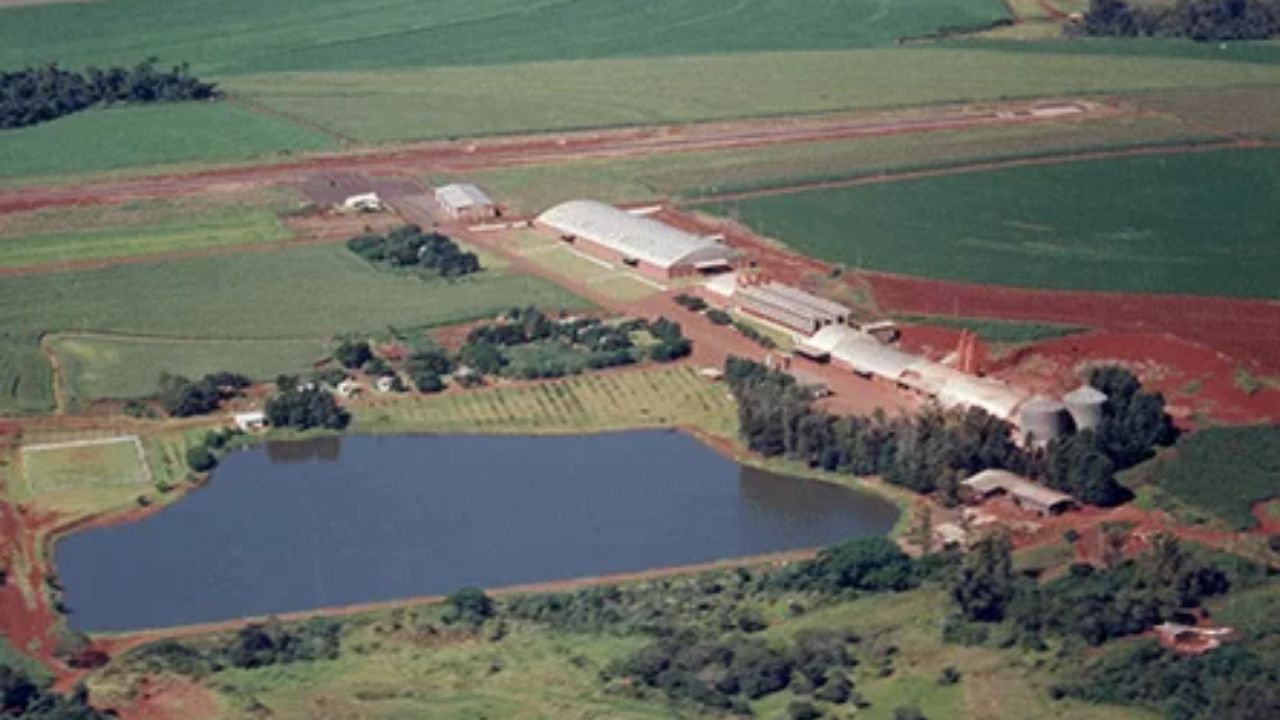A saga do império da soja começou com a visão pioneira do patriarca André Maggi, que comprou sua primeira fazenda em Mato Grosso em 1979, apostando no futuro da commodity no Centro-Oeste. Imagem: Amaggi