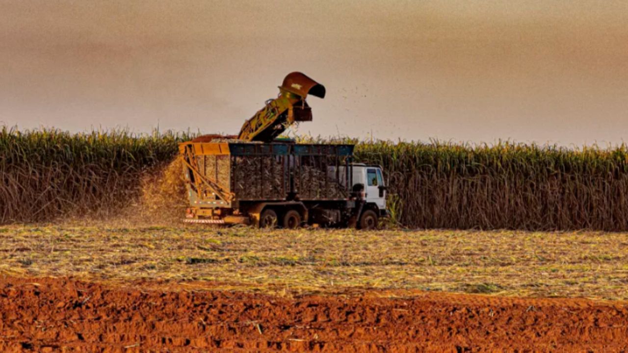A solução realista e imediata do Brasil para o clima com bioenergia