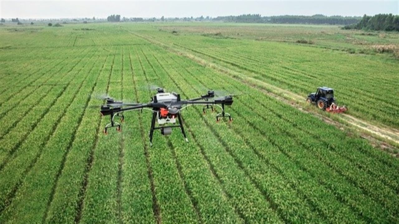 Nas plantações, drones e inteligência artificial trabalham juntos para identificar necessidades específicas da lavoura e aplicar insumos de forma precisa, aumentando a produtividade e reduzindo custos.