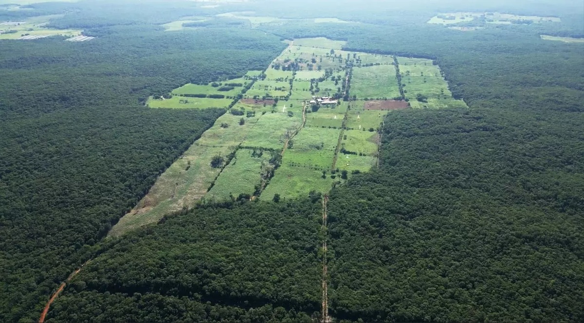 Vista aérea de fazenda leiteira no México com grandes áreas de pastagem cercadas por floresta