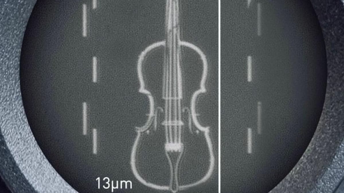 violino