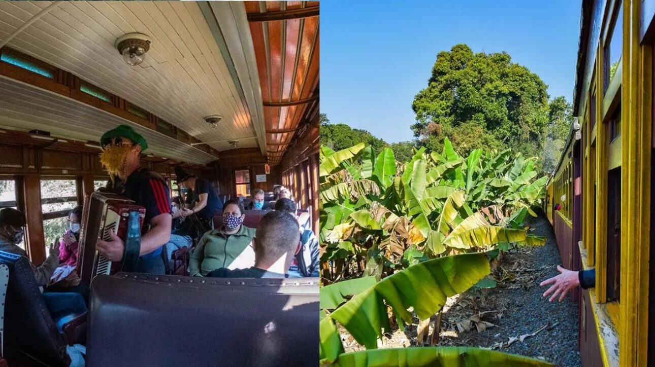 Viaje por uma ferrovia histórica em SC por menos de R$ 100, cruzando túneis e pontes com vista para a mata nativa a bordo de uma Maria Fumaça. (Imagem: site Viagens Sem Caminho)