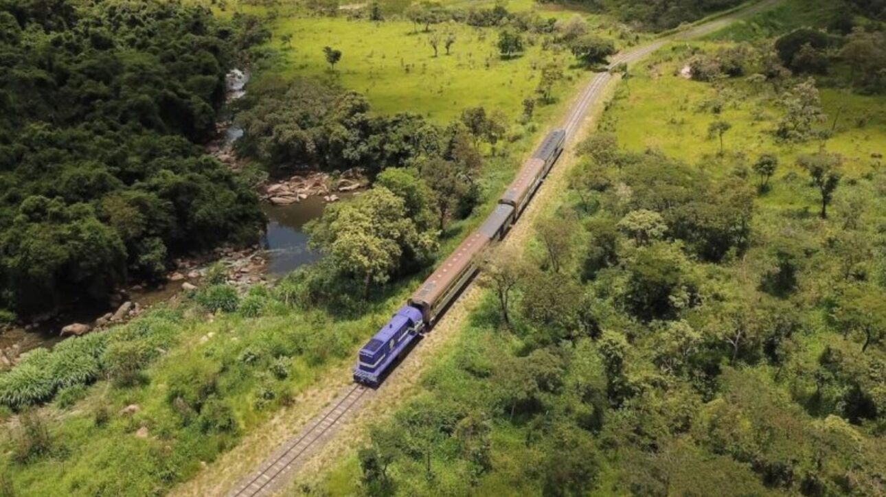 Descubra o Trem da República, passeio entre Itu e Salto com história, paisagens rurais e arte a bordo. Ideal para um final de semana em família. (Imagem: Serra Verde Express/Divulgação)